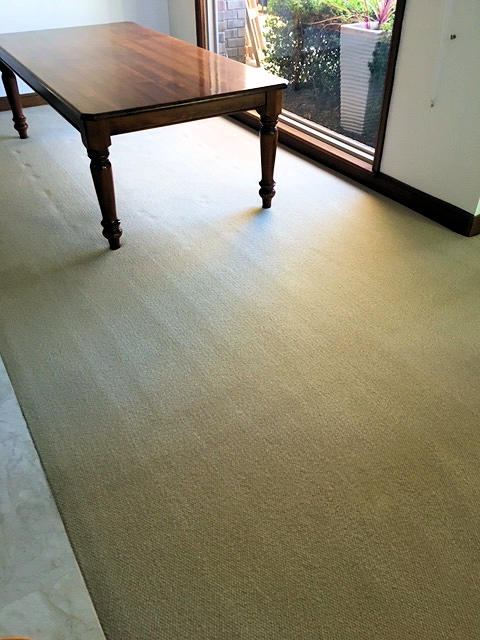 carpet cleaning adelaide domestic home house 